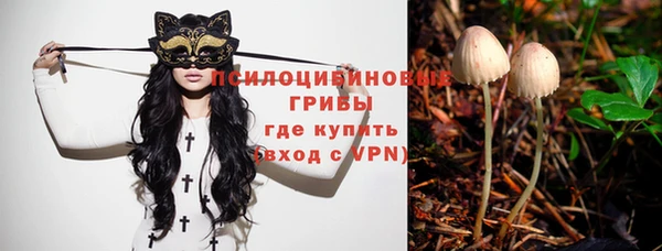 шишки Беломорск
