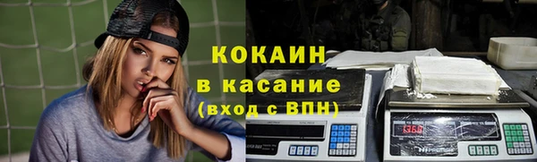 шишки Беломорск