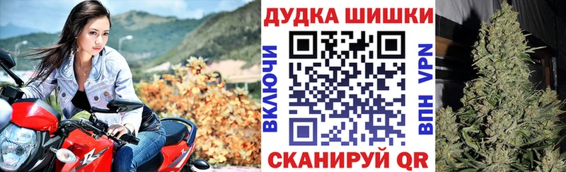 Канабис гибрид  Среднеколымск 